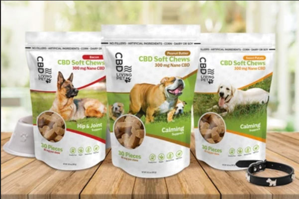 CBD pet products