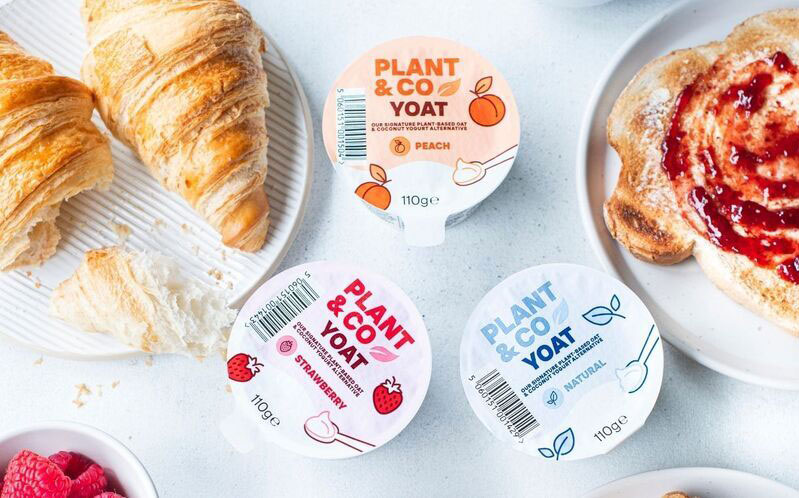 Plant & Co YOAT